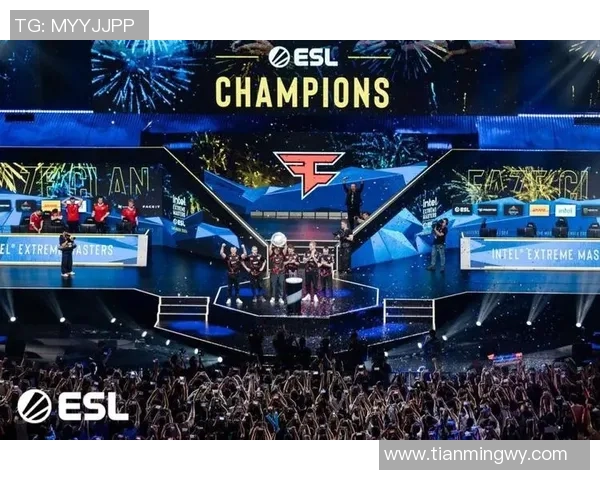 成都乒乓球队的辉煌崛起与奋斗历程揭秘大师赛特别报道