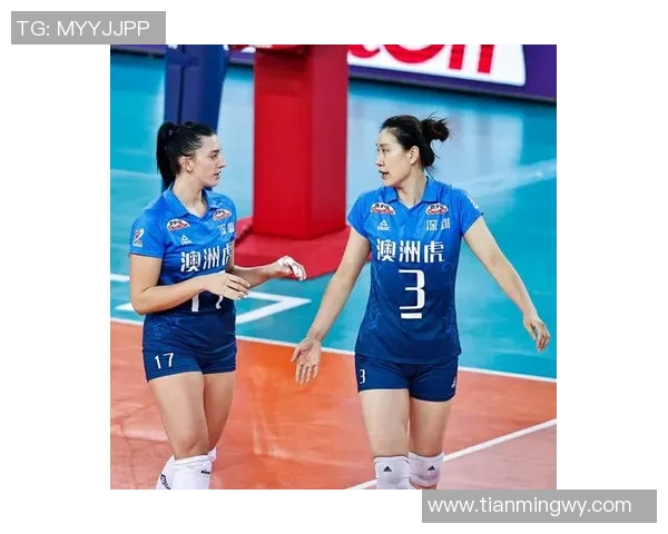 深圳排球队配合表现分析与提升策略探讨