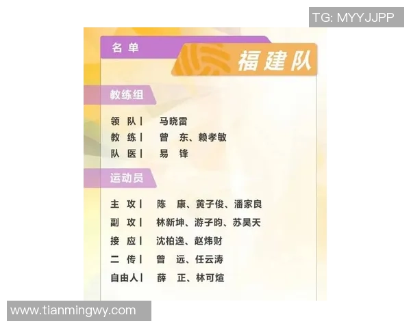 杭州排球队实力强劲最新排球力量排行榜前十名揭晓